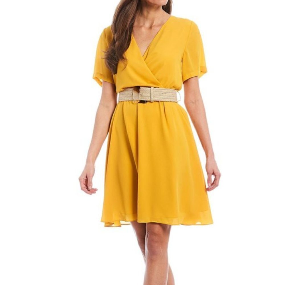 NWT Gibson Latimee Belted dress